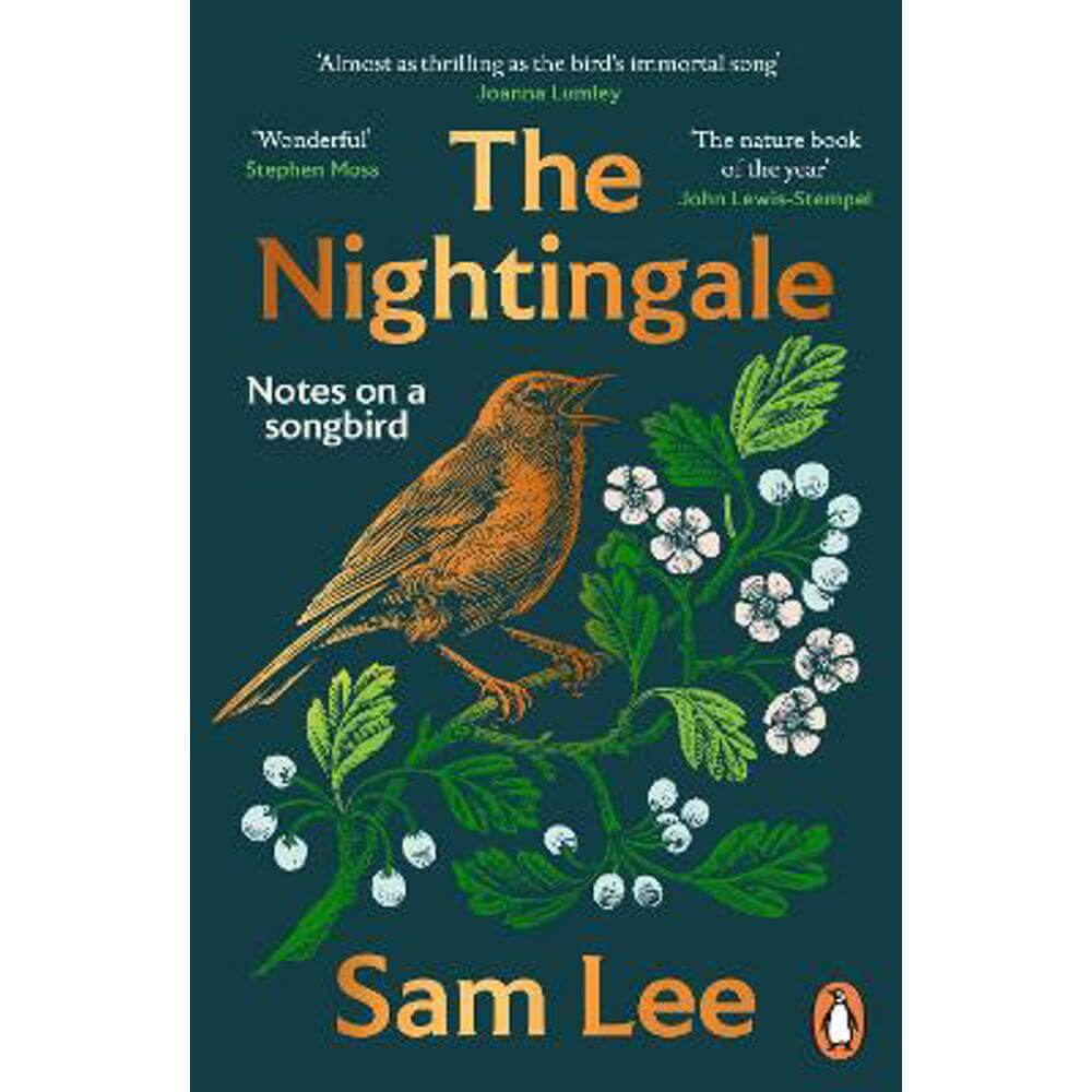 The Nightingale: 'The nature book of the year' (Paperback) - Sam Lee